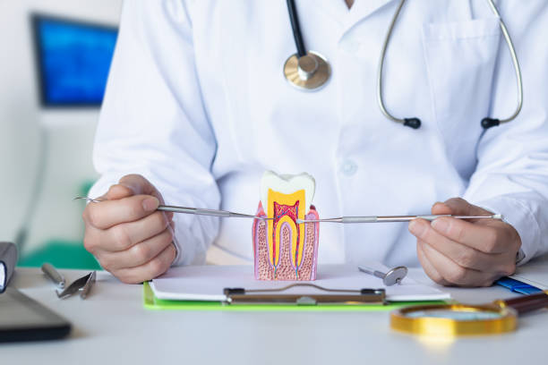 Best Orthodontic Emergency Dentist in Guilford Center, CT
